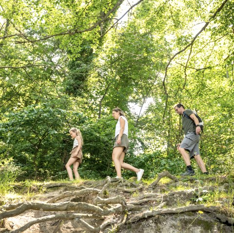 Wandern rund um den Laacher See, © Eifel tourismus GmbH, Dominik Ketz