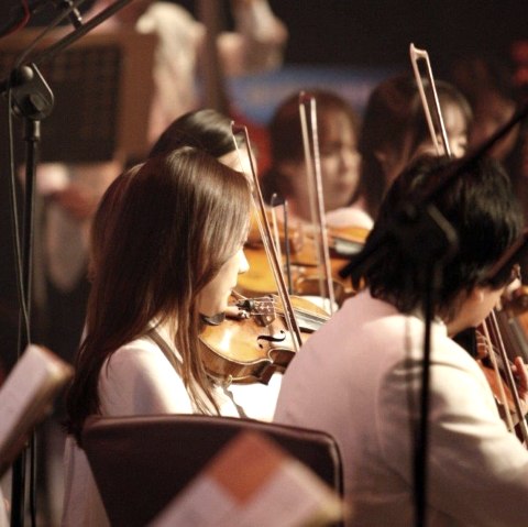 Orchester, © Kreismusikschule Mayen-Koblenz