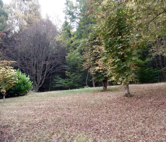 "Schöne Aussicht am Eifelsteig" Garten