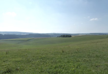 Panoramablick auf die Höhen bei Bleialf, © Tourist-Information Prümer Land