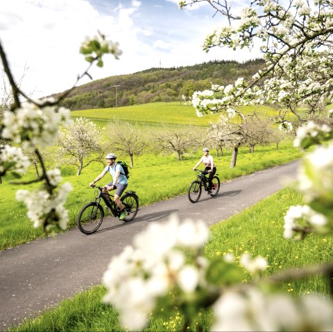 Radtour im Eifel-Frühling, © Eifel Tourismus GmbH, Dominik Ketz