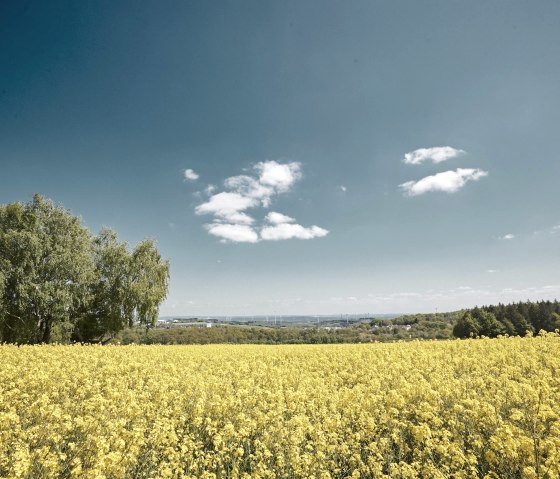 Weitblicke genießen, © Schieferland Kaisersesch