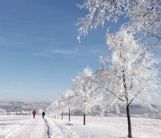 winter in Lutzerath, © Yvonne Clemens-Cihlars