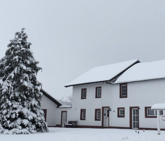 Winter, © Feha zum Mühlbachtal