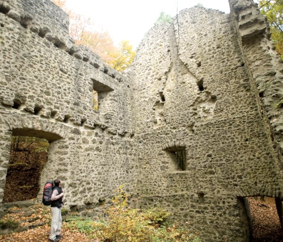 Eifelsteig, am Nerotherkopf, © Rheinland-PfalzTourismus GmbH - Dominik Ketz