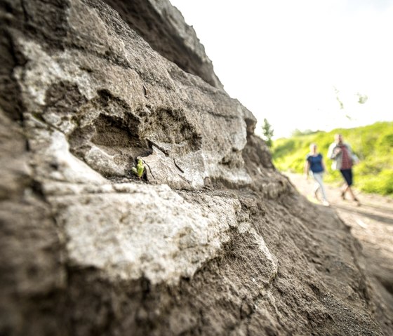 ET-2019-311-Vulcanpfad, Thron am Steffelnkopf © Eifel Tourismus GmbH, Dominik Ketz, © Eifel Tourismus GmbH, Dominik Ketz