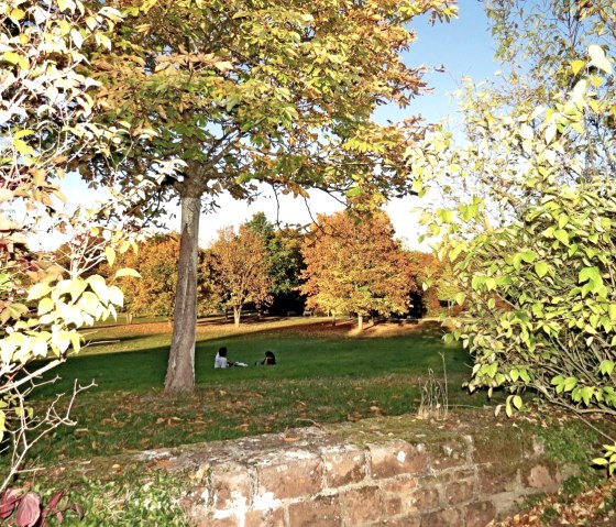 Stadtpark in Wittlich, © Werner Pelm