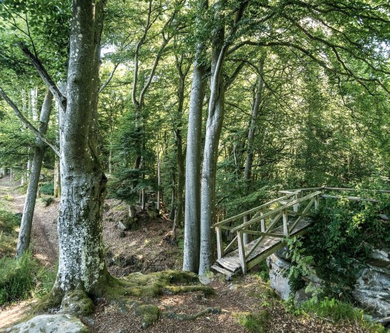 Passerelle vers le rocher à côté du Schankweiler Klause, © Eifel Tourismus GmbH / Dominik Ketz