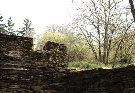 Klosterruine mit Blick in die Landschaft, © Laura Rinneburger