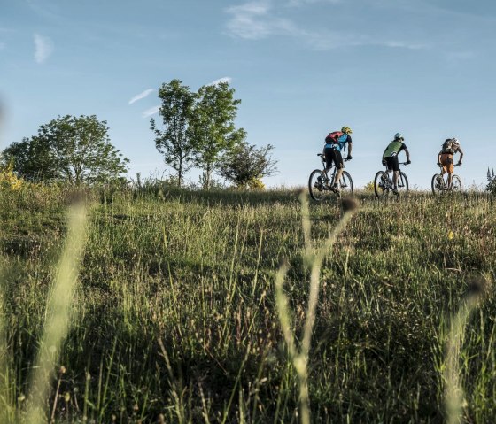 Geführte MTB Touren, © inMEDIA