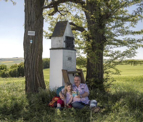 Bildstock am Paradiesweg Polch, © Kappest, REMET