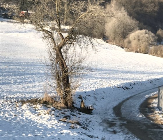 Jetzt gehts in den Nationalpark