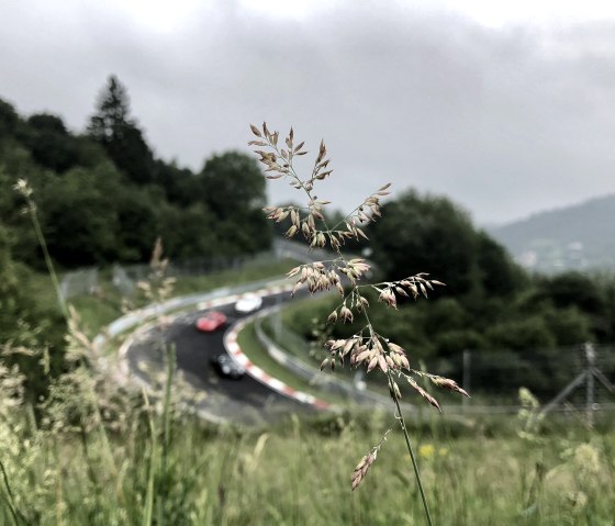 Nordschleife, © TI Hocheifel-Nürburgring, Sebastian Schulte