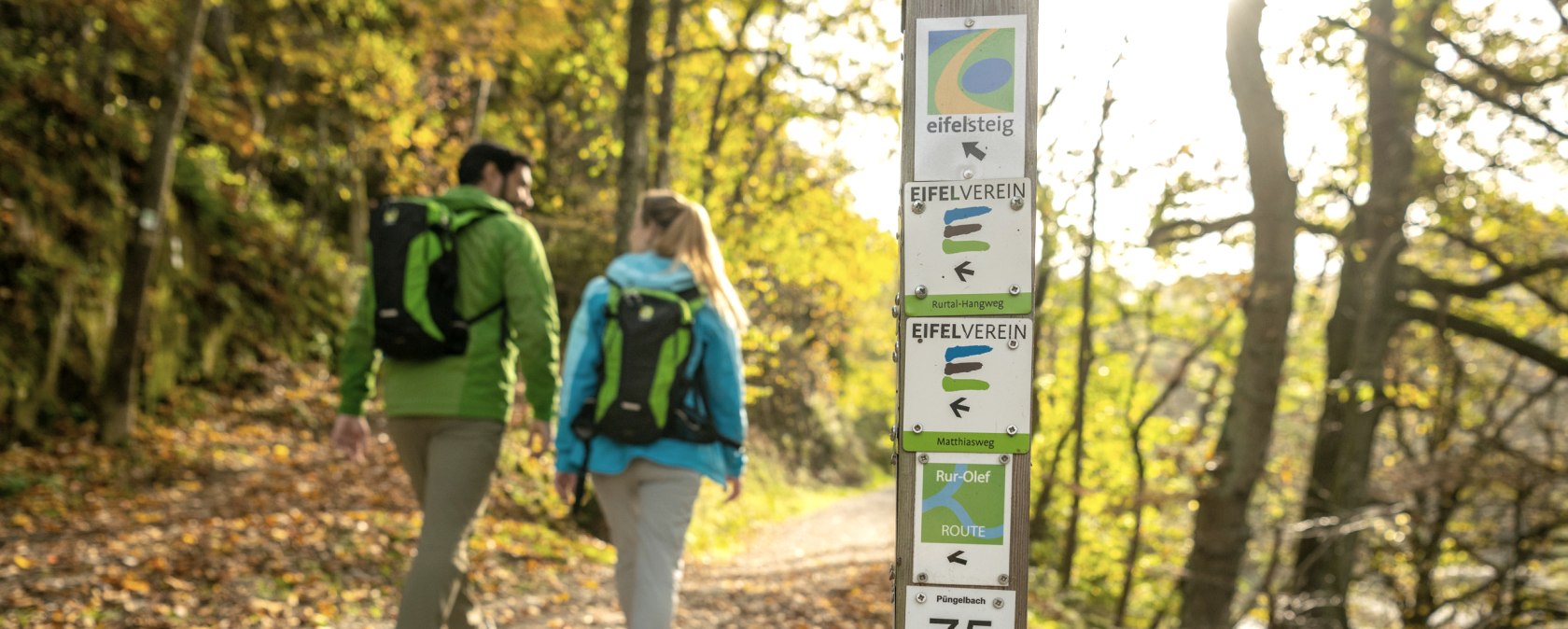 Wandern im Nationalpark Eifel, © Eifel Tourismus GmbH, Dominik Ketz