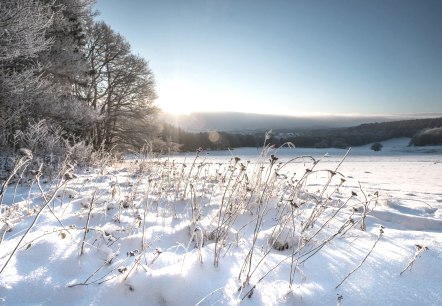 Winterliche Eifel, © Rheinland-Pfalz Tourismus GmbH, D. Ketz