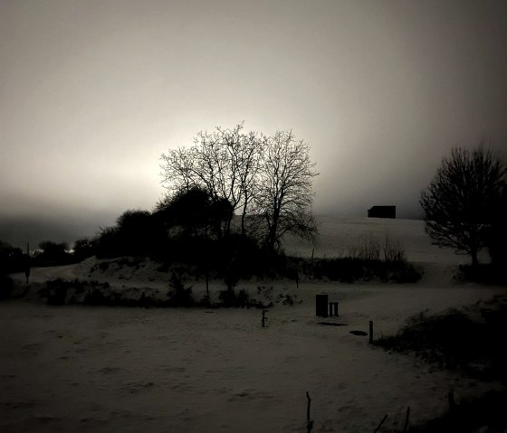 Winterlandschaft in der Abenddämmerung, © Privat