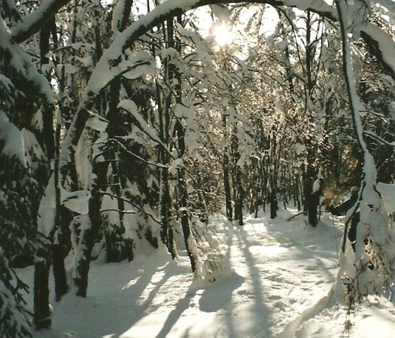 Winter Oberer Steg, © Wolfgang Weber