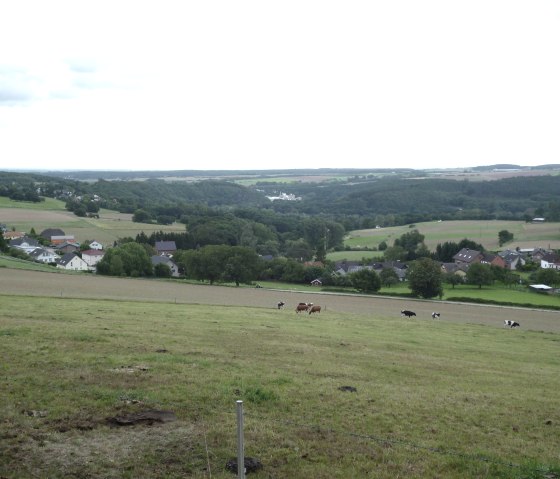 Eifel-Blick "Schafsbenden", © Rureifel-Tourismus e.V.