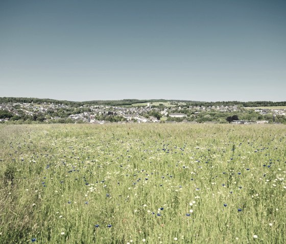 Eifellandschaft im Sommer, © Schieferland Kaisersesch