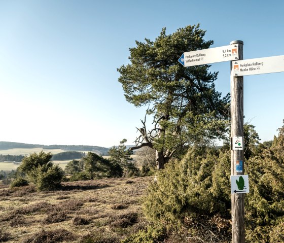 Traumpfad Bergheidenweg, © Eifel Tourismus GmbH, D. Ketz