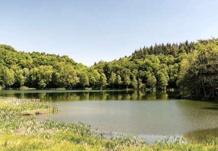 Blick auf das Holzmaar, © GesundLand Vulkaneifel/D. Ketz