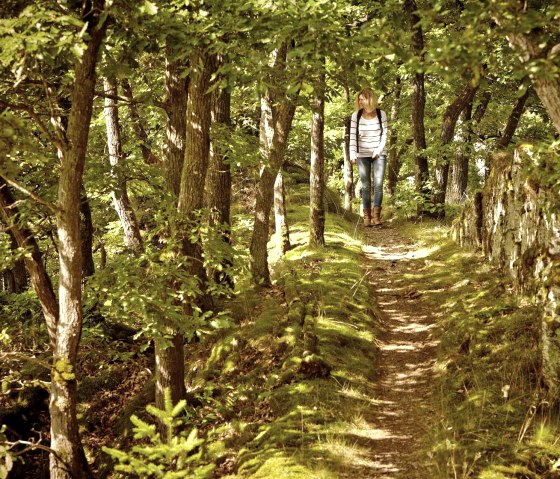 Schmale Pfade um Bad Bertrich/Wanderwege um Bad Bertrich, © GesundLand Vulkaneifel/Marco Rothbrust