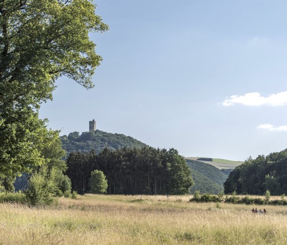 Burg Olbrück, © Vulkanregion / Kappest