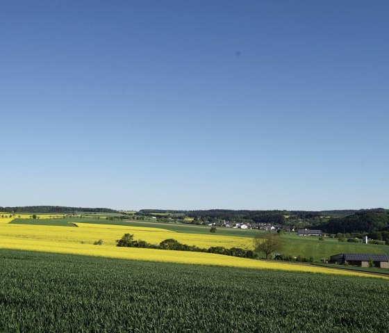 Ausblick, © Laura Rinneburger