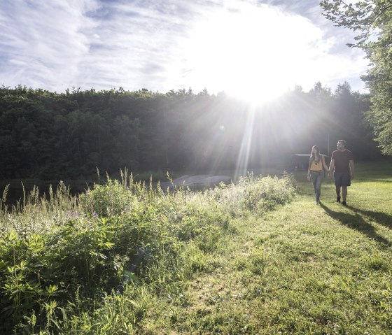 Wald, © Vulkanregion / Kappest