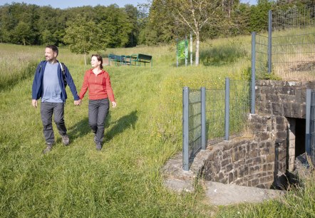 Start der Wanderung auf dem Lieserpfad ist die Quelle der Lieser, © Eifel Tourismus GmbH, AR-shapefruit AG