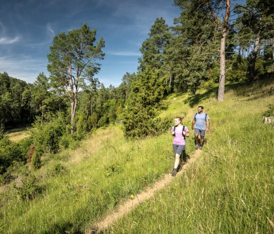 EifelSpur Toskana der Eifel, Wandern auf schmalen Pfaden durchs Lampertstal, © Eifel Tourismus GmbH, Dominik Ketz