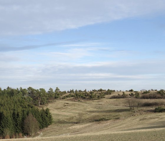 Blick über die Wacholderheide, © Foto: Svenja Schulze-Entrup, Quelle: Touristik-Büro Vordereifel