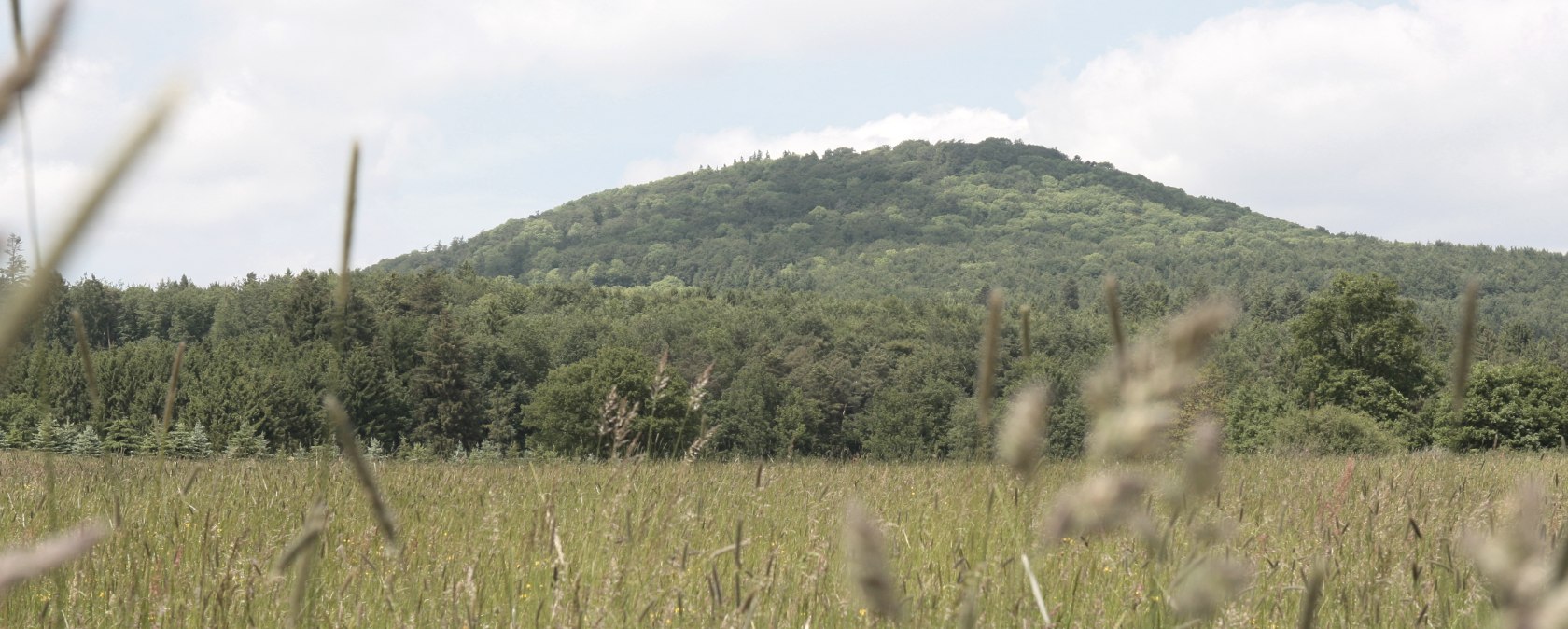 Blick auf Aremberg, © Werner Dreschers