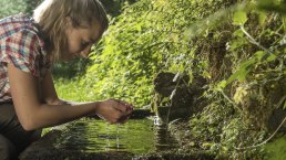 Maischquelle Wasser, © Natur- und Geopark Vulkaneifel/K.-P. Kappest