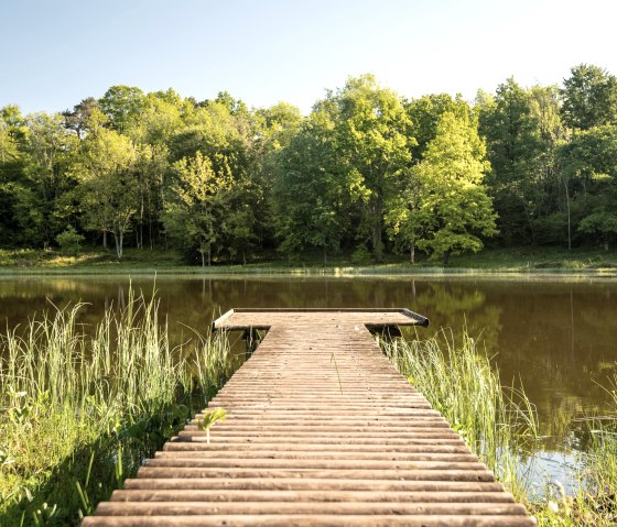 Windsborn Bergkratersee 1, © GesundLand Vulkaneifel GmbH/D. Ketz