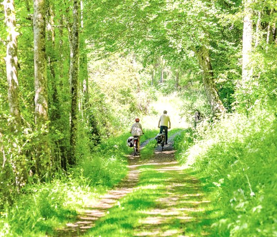 Wander- Radweg Wacholderschutzgebiet, © TI Kelberg