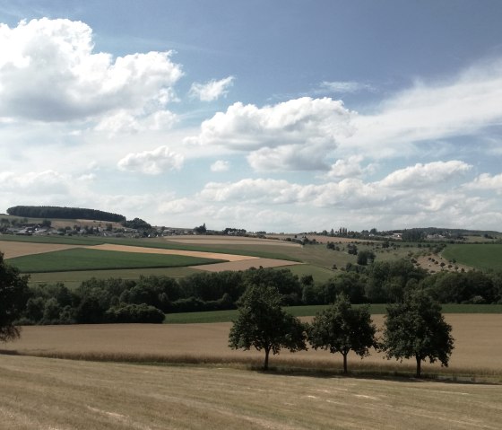 Panoramablick bis nach Niederweiler, © Tourist-Information Bitburger Land