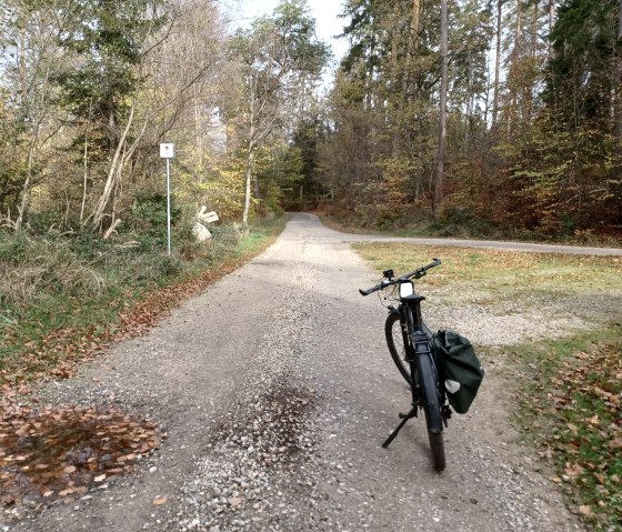 Waldweg beim Geißenbach, © Sweco GmbH