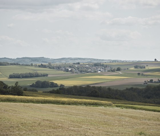 Blick ins Maifeld in der Rapsblüte, © Schieferland Kaisersesch, Marco Rothbrust