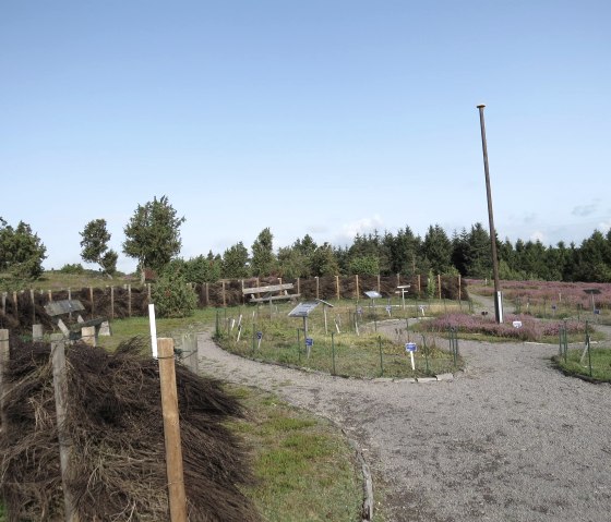 Blick auf den Heidegarten in Langscheid, © Foto: Svenja Schulze-Entrup, Quelle: Touristik-Büro Vordereifel