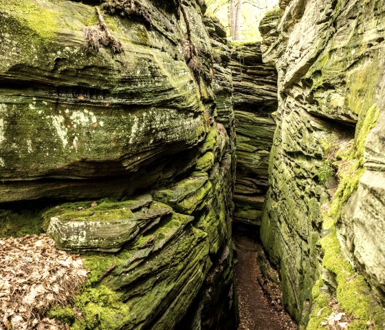 ET-2023-173-Bollendorf_Lauschtour_Grune_Holle-Eifel_Tourismus_GmbH_Dominik_Ketz, © Eifel Tourismus GmbH, Dominik Ketz