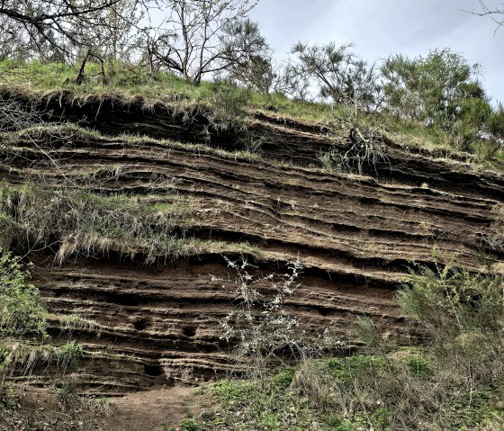 Sedimentwand Lavakaul, © Yvonne Clemens-Cihlars