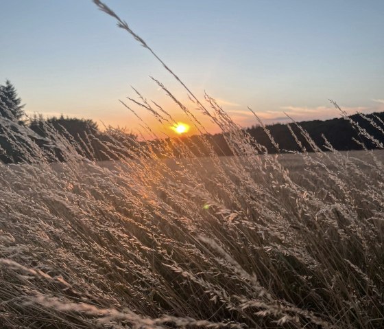 Sonnenuntergang