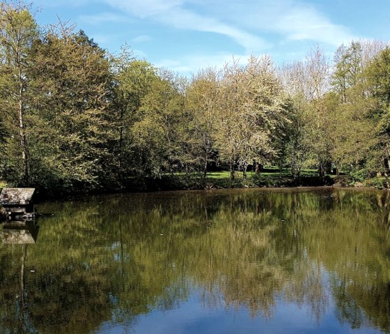 Entenweiher, © VG Mendig/U.Niederelz