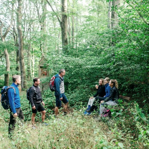 Begeleide wandeling, © Pail Meixner