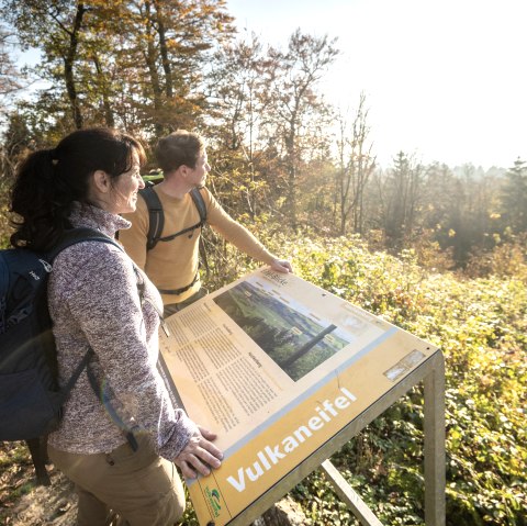 Aussicht vom Hochkelberg genießen, © Eifel Tourismus GmbH, D. Ketz