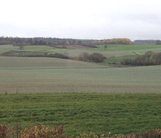 Ausblick ins Grüne.