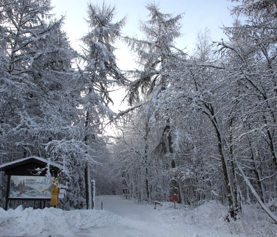 Zuweg zur Wolfsschlucht, © Tourist-Information Prümer Land