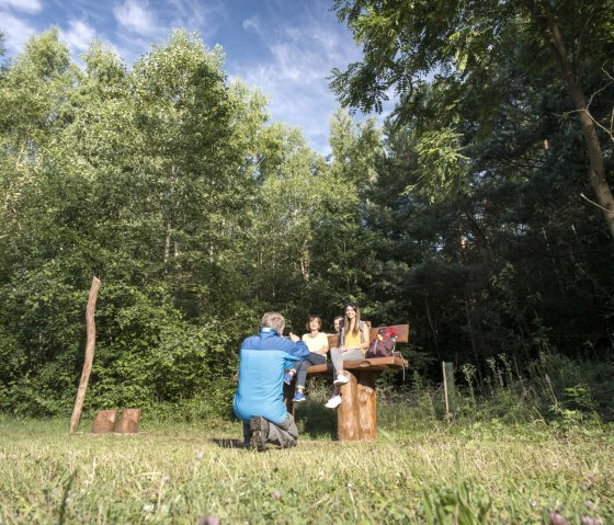 Riesenbank am Krufter Waldsee, © Kappest/Vulkanregion Laacher See