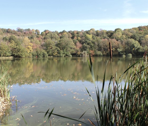 Das Immerather Maar im Herbst, © Marion Divossen